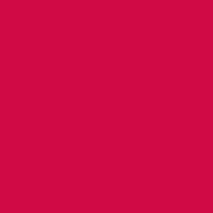 Disperse Dyestuff Brill Red SF-B 200% with High Fastness